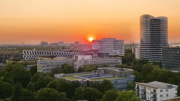 Städtische Skyline mit modernen Bürogebäuden und Bäumen im Vordergrund bei Sonnenuntergang